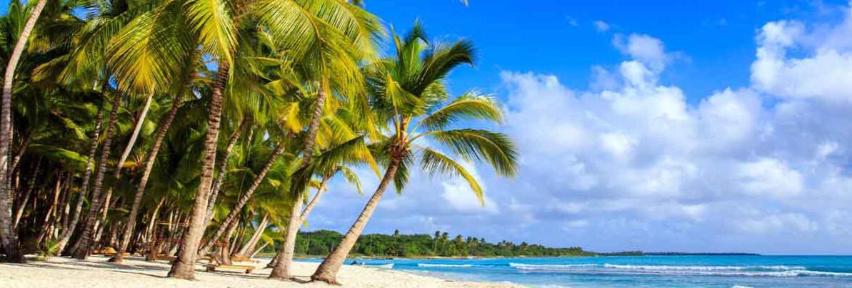 Panta-cana -Beach A serene tropical beach with swaying palm trees,